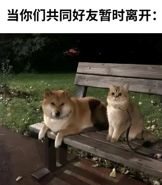 已经感受到了无比尴尬了