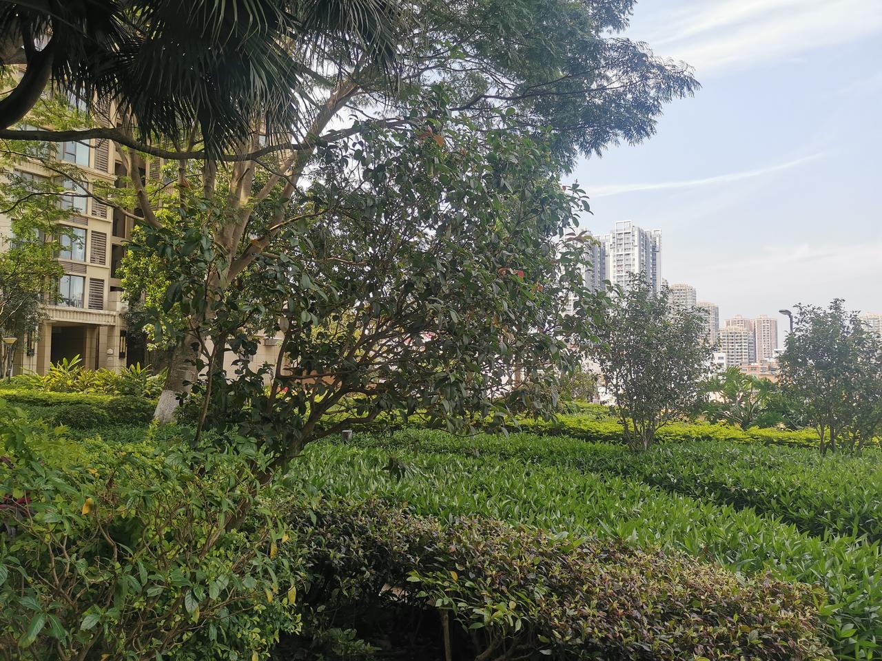 95后女生月花1.2万送狗上学！网友吵翻：是爱还是溺爱？最近“95后女生月