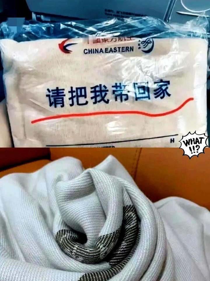 不懂就问～坐飞机居然被东航毛毯反向“套路”了！包装袋上那句“请把我带回家