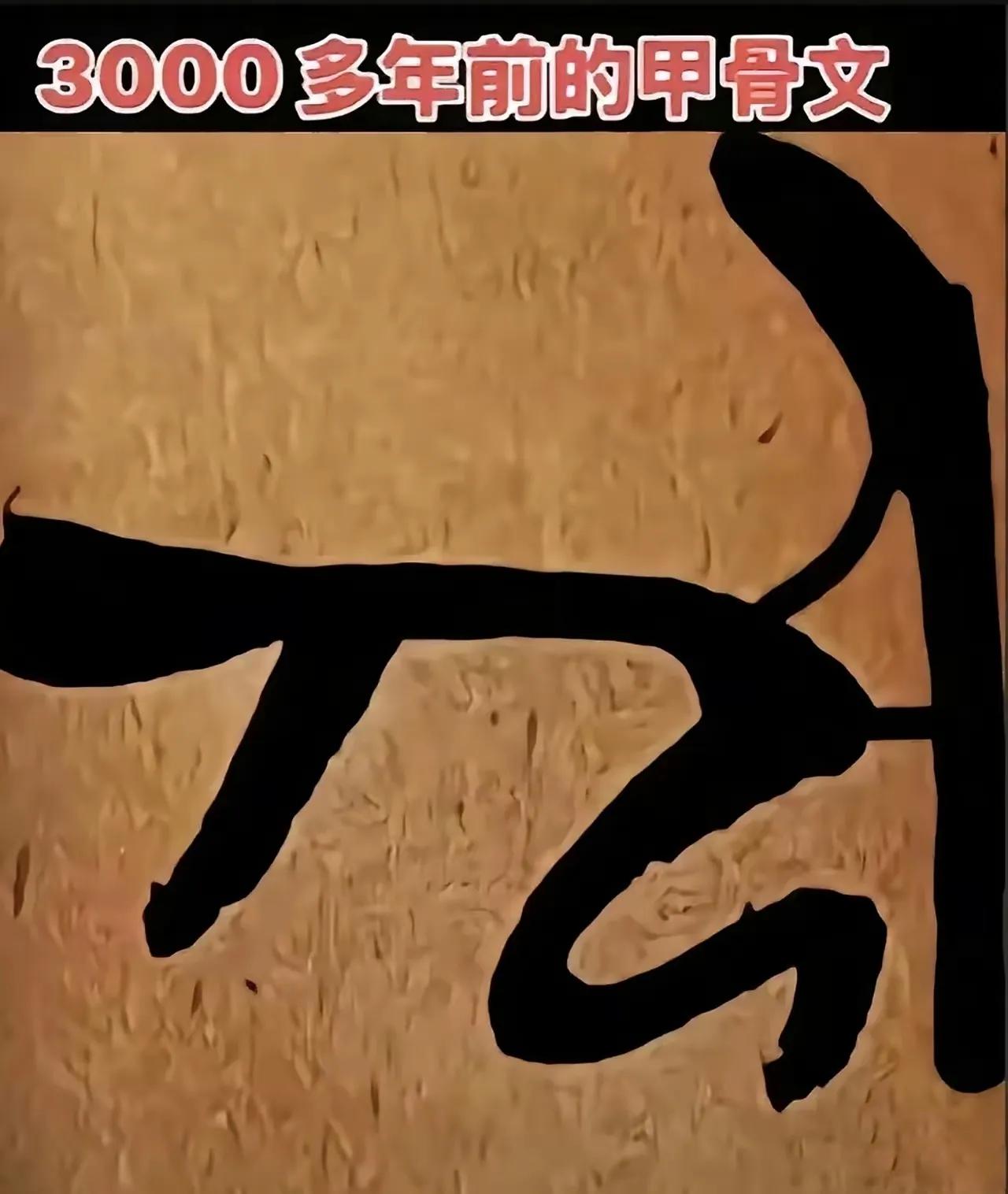 这是3000年前的甲骨文字。我不懂，这到底是个什么字？千古之谜，其破解难度令人咋