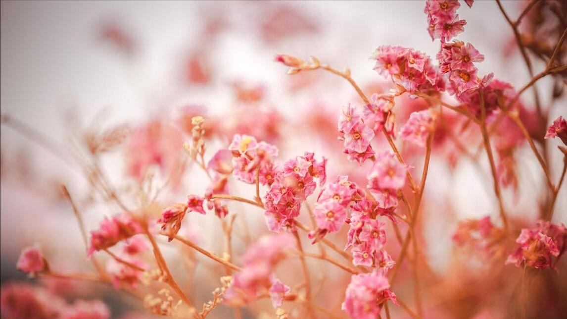 农历4月诸事顺利,坏运气清零的生肖,好运加满,幸运缠身