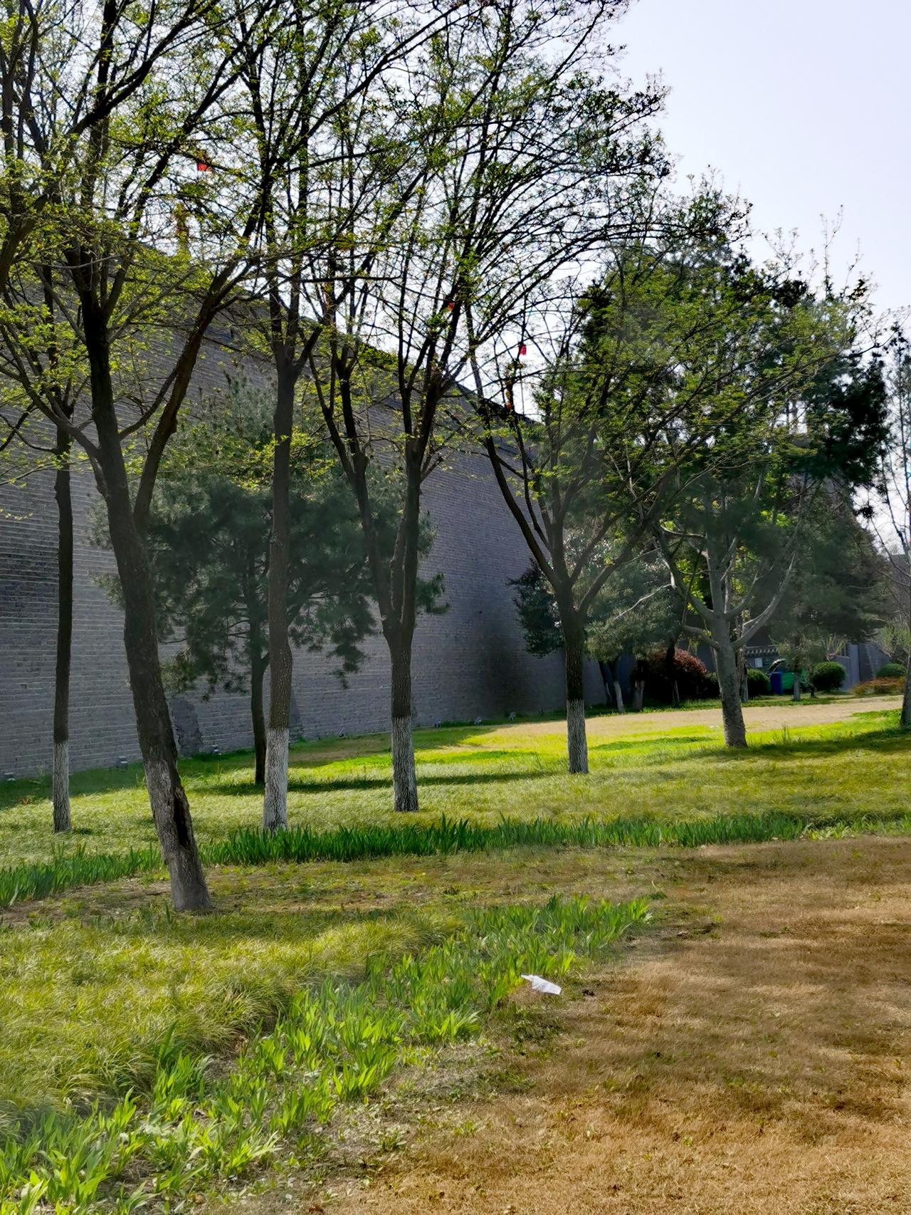 给大家分享一些我在西安城墙公园拍的图片。绕城墙一周的西安环城公园，是明清城墙、