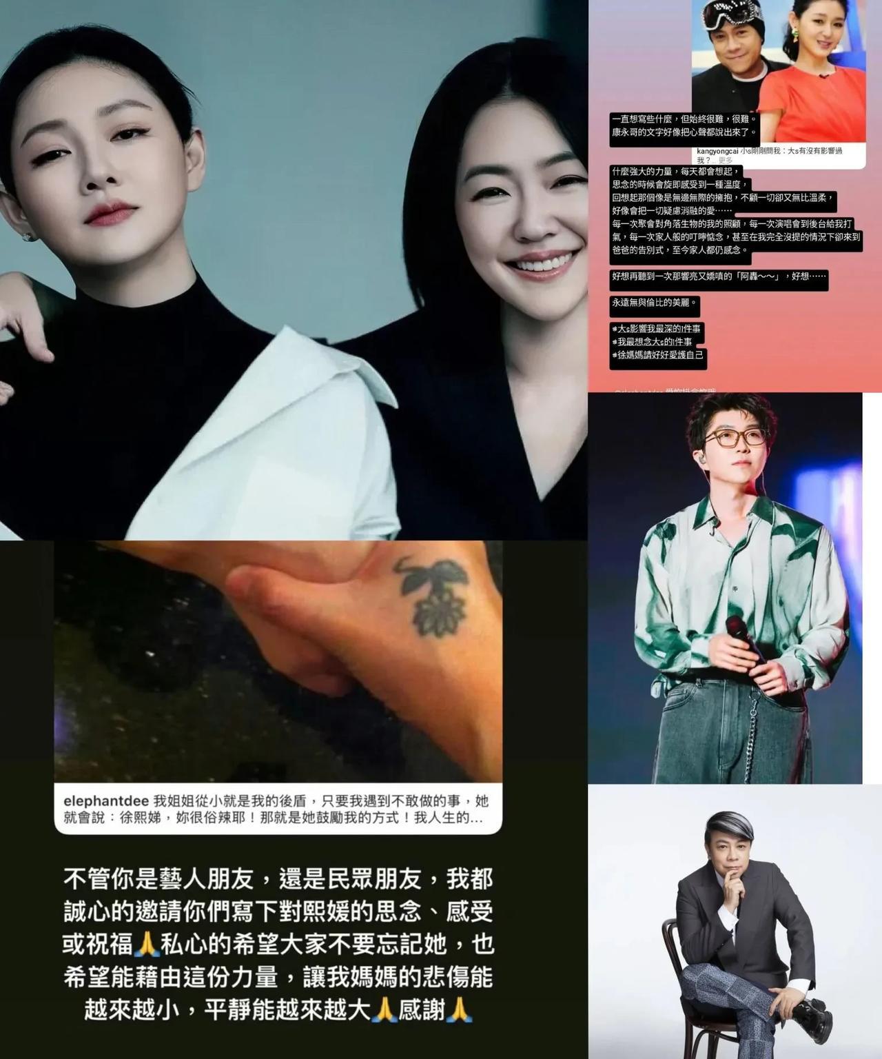 一开始我以为是艺人们集体自发追忆大S，原来又是小S发起的活动，却让人感觉有点不厚