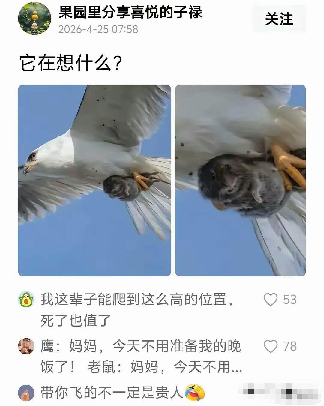 带你飞的不一定是贵人。​​​