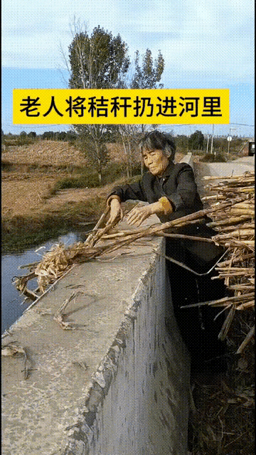 句句扎心！老婆婆桥上卸秸秆被抓，一句话问懵所有人：“烧了说污染，扔河里冲跑就不污