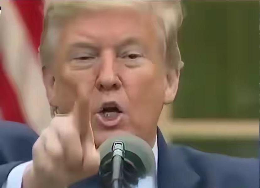 莫迪在以色列发表演讲，说以色列是父国，印度是母国。特朗普听了很不是滋味，然后在当