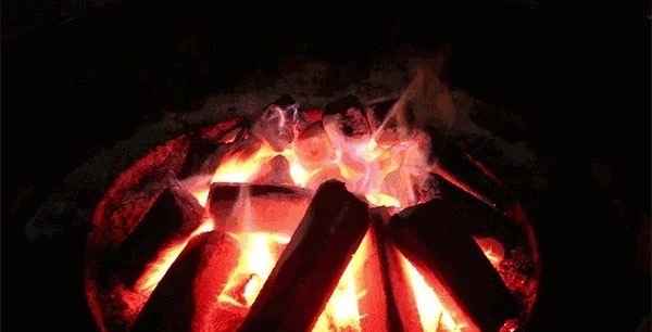 虾的身材很曼妙这个热搜好搞笑，吃进肚子里也很曼妙