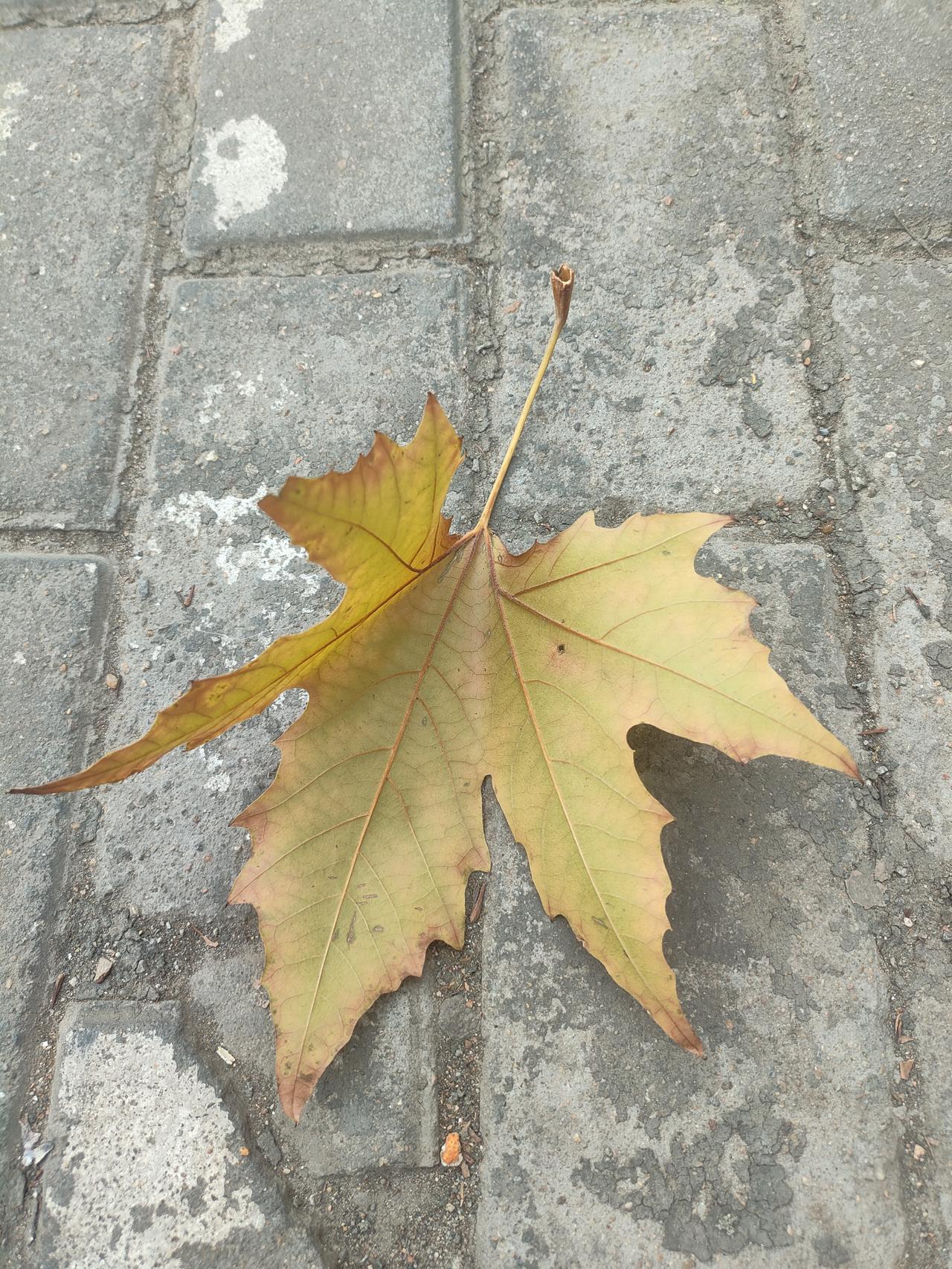 我国连续三年死亡人数1000万+，未来可能突破2000万根据官方数据发布，20