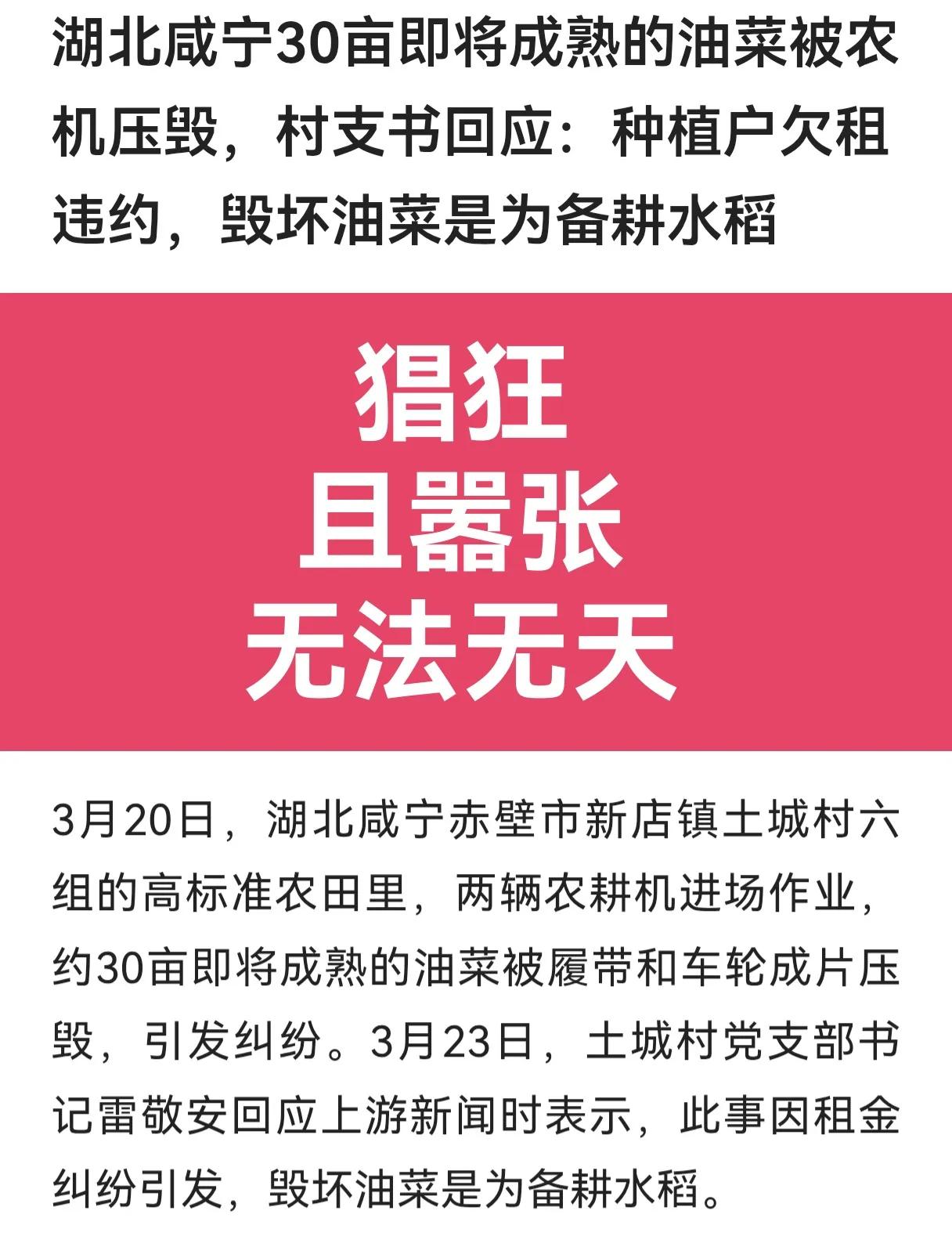 怎么敢的呀！30亩即将成熟的油菜被农机压毁，于情于理于法于啥都说不过去呀！种过地