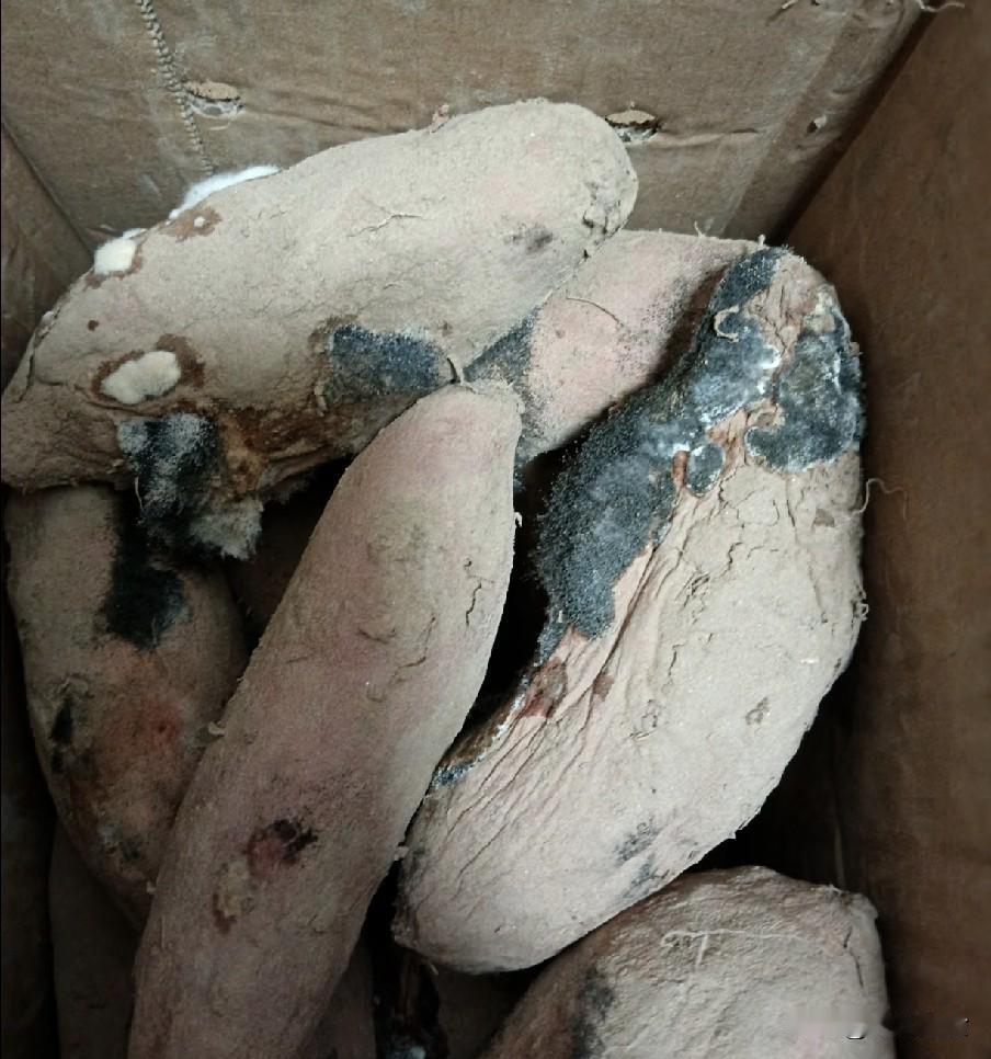 煮熟也有毒，赶紧扔掉！很多家庭天天在吃，别再傻傻的舍不得多数家庭都有一个错