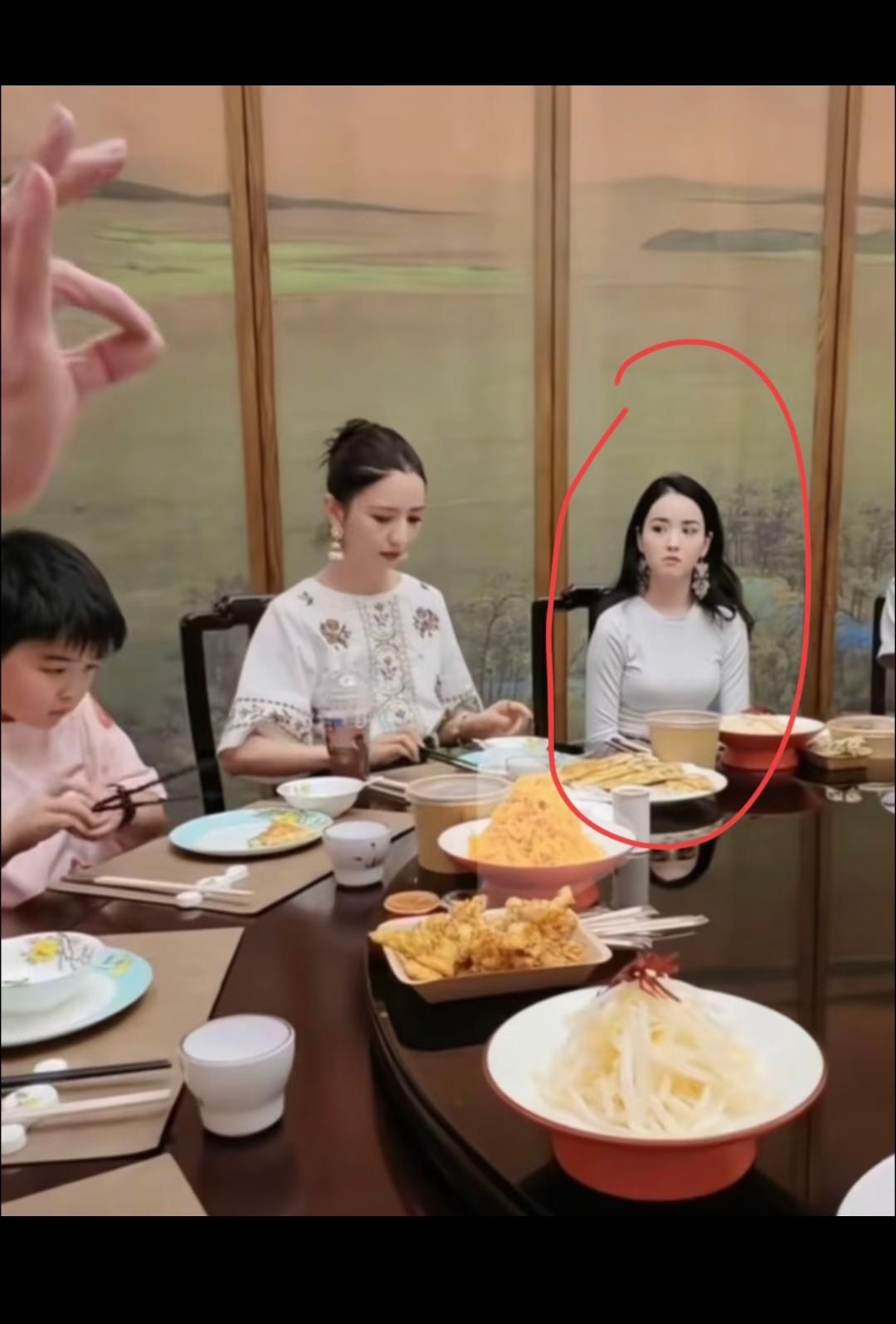 好奇跟丫丫一起吃饭的女士是谁？为啥用这种眼光看丫丫母子！羡慕嫉妒恨么？再怎
