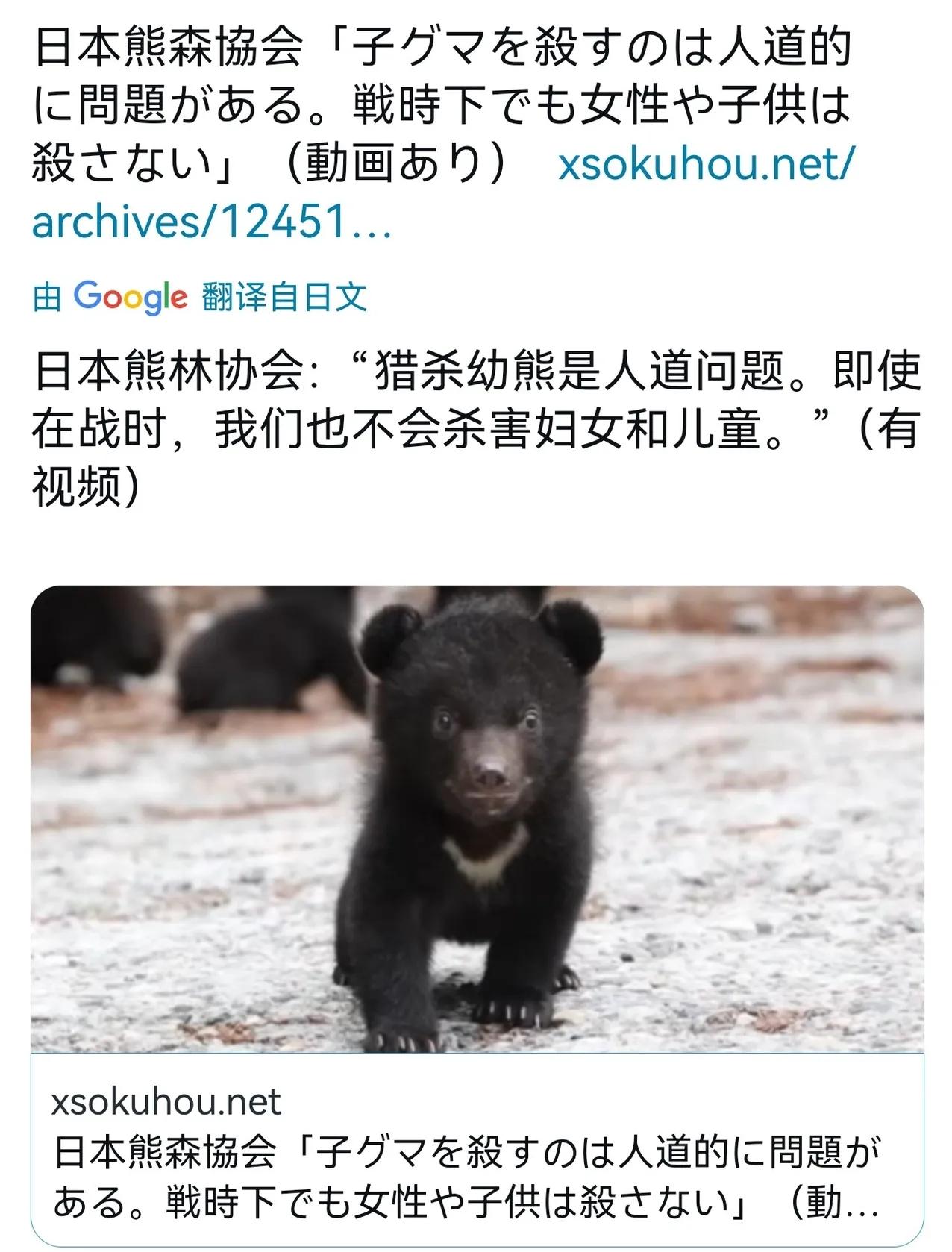 学生时代听到最大的谎言：意林说西方文明为了救一只麻雀可以全线停电。日本人在战争中