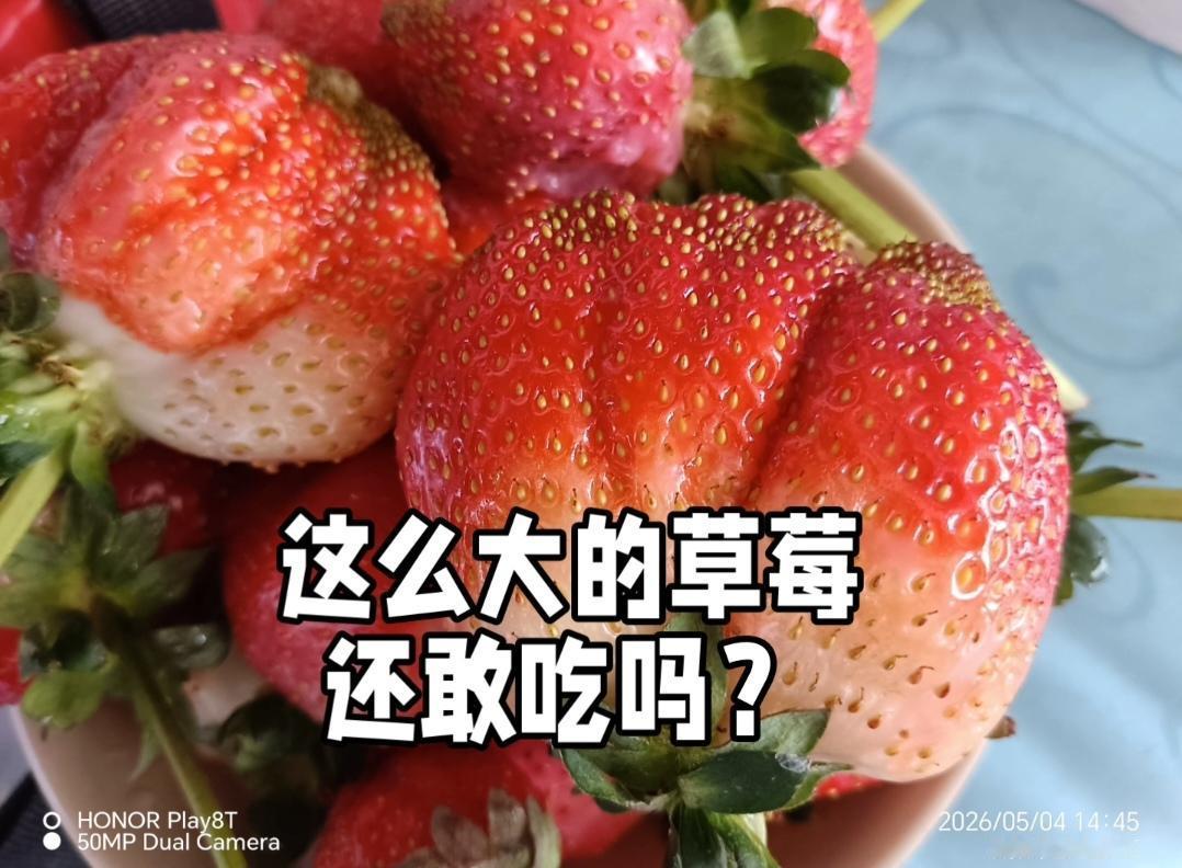 新鲜又大的草莓不一定使用了膨大剂。根据当前权威公开资料，草莓个头大主要与品种、栽