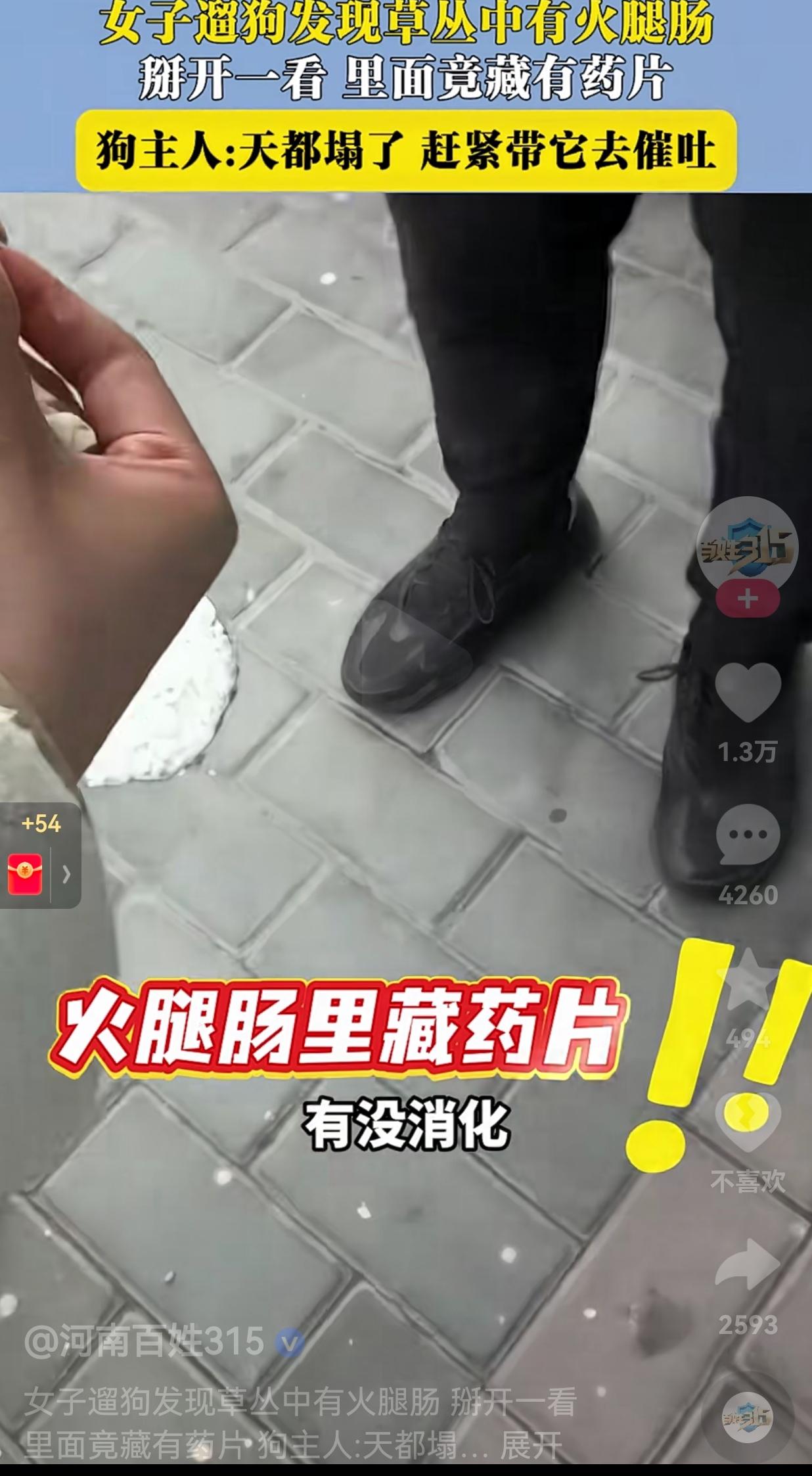 以暴制暴不可取！近日，陕西咸阳一女子遛狗，刚走到草丛附近小狗突然不愿意走了，取而