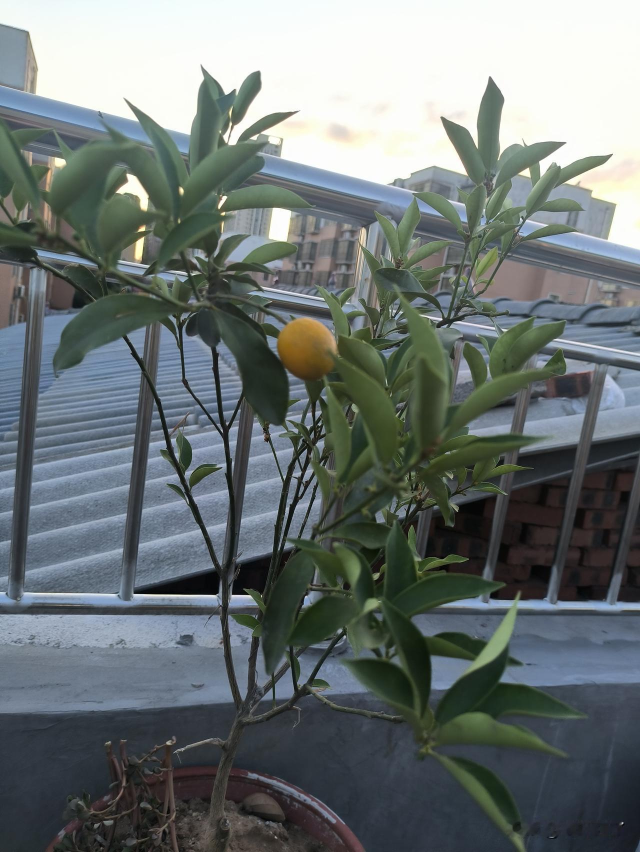 就在刚刚，我给老伴上了堂政治课。我发现，这堂政治课，老伴听的很认真，直点头，脾气