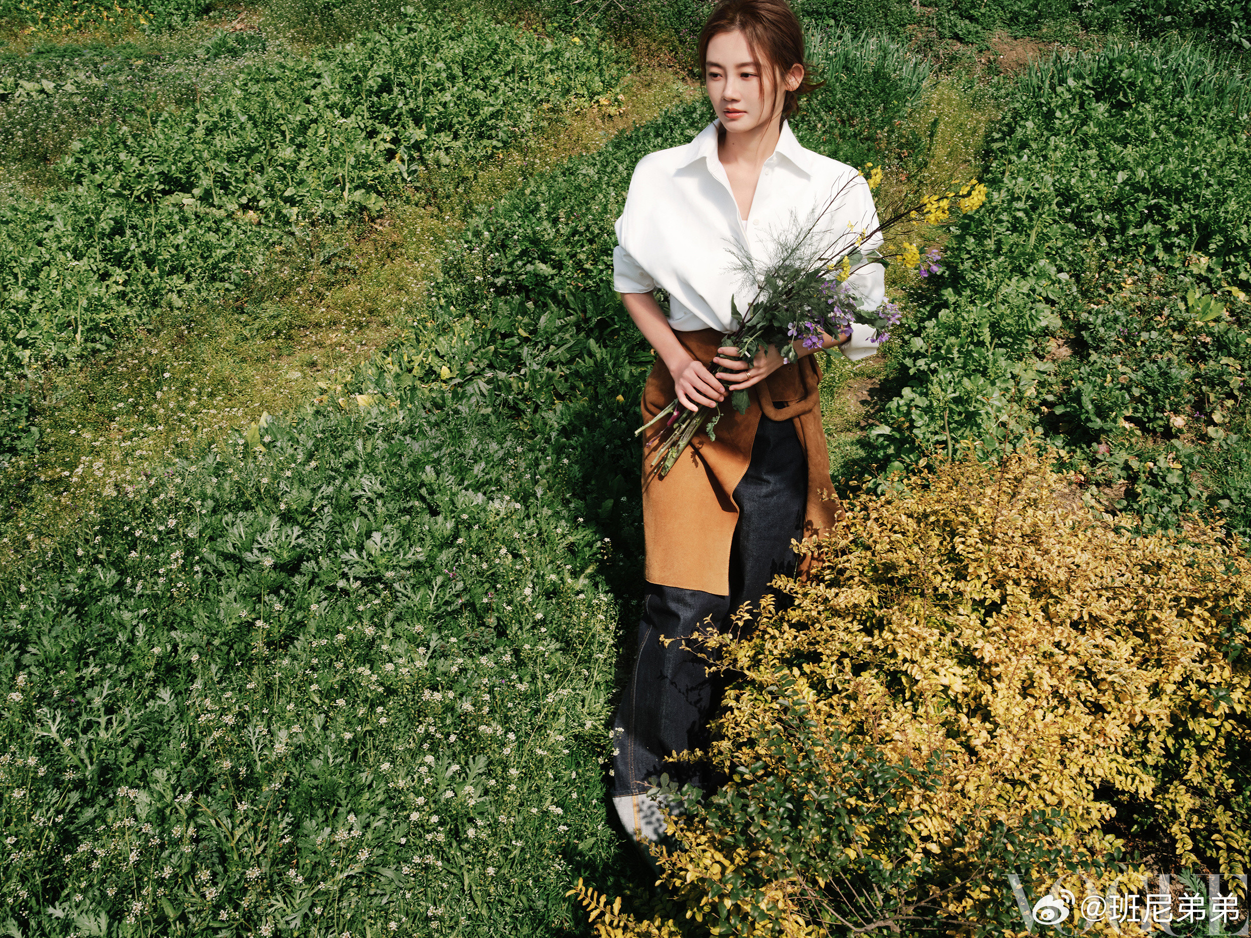 苗苗vogue大片，扑面而来的生命力~郑恺帮苗苗取名的浪漫寓意