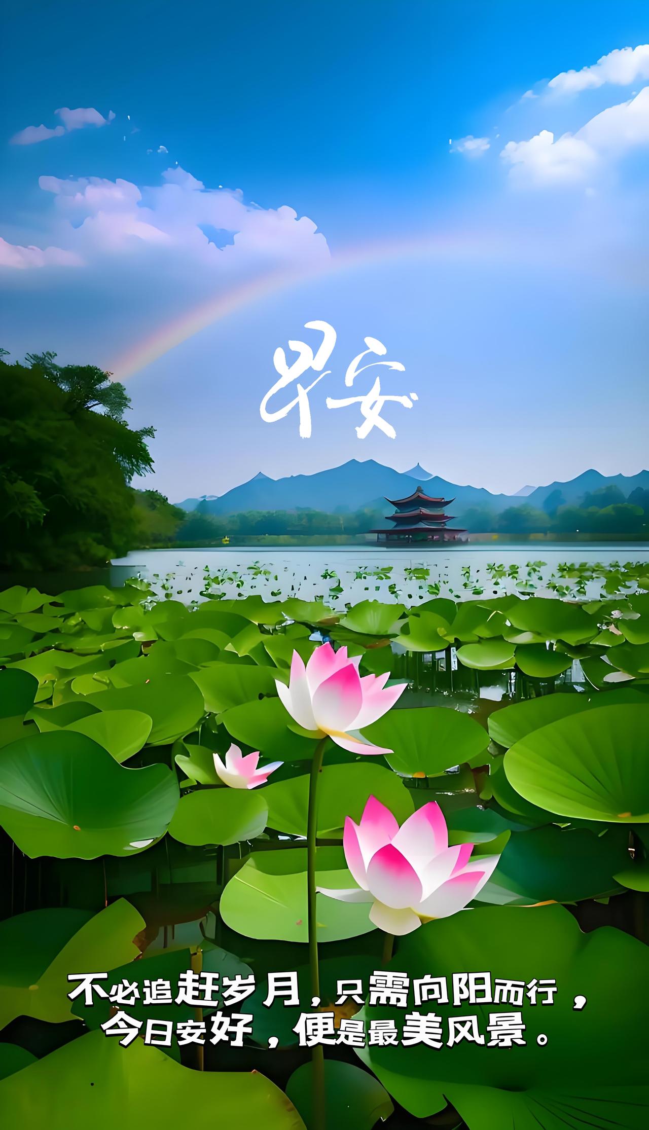 「夏日十张早安美图配美文」唯美早安图早安问候语图早安治愈风景早安祝福语