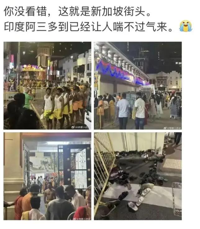 新加坡又破防了，只因"印家坡"三个字！近期网络上流传的印度人把牛带到新加坡去