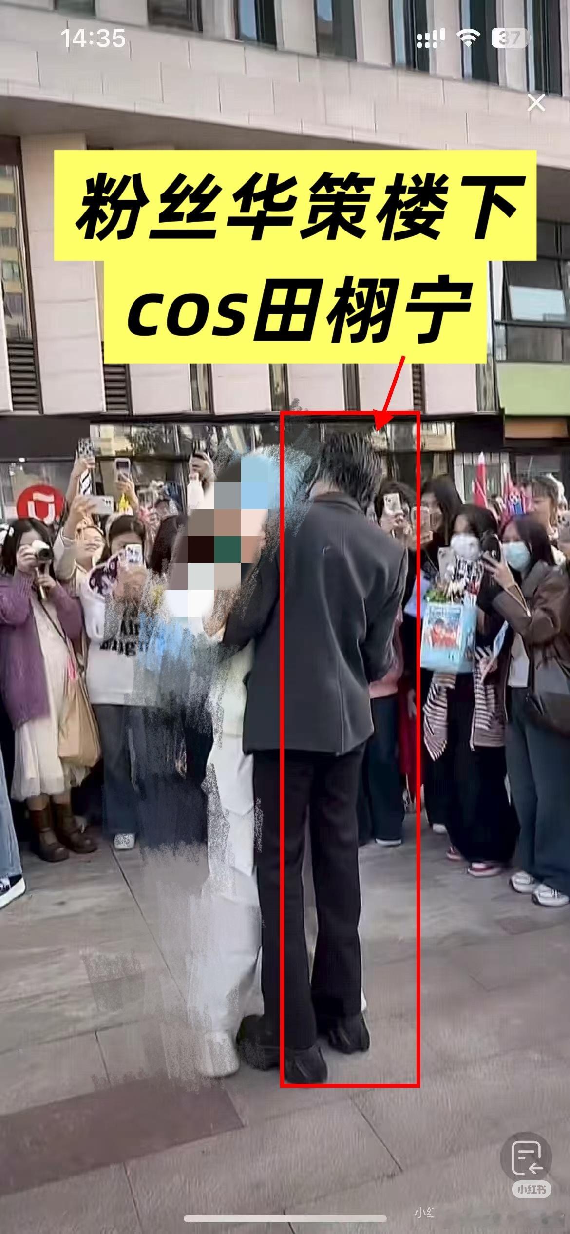 田栩宁粉丝在华策楼下cos，全程一群粉丝开始围观起哄，红薯上刷到田栩宁粉丝还在讨