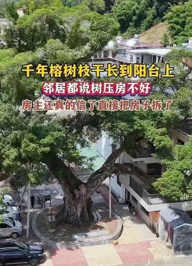 这样的环境，给五百万都不搬啊。感觉主人家真傻。