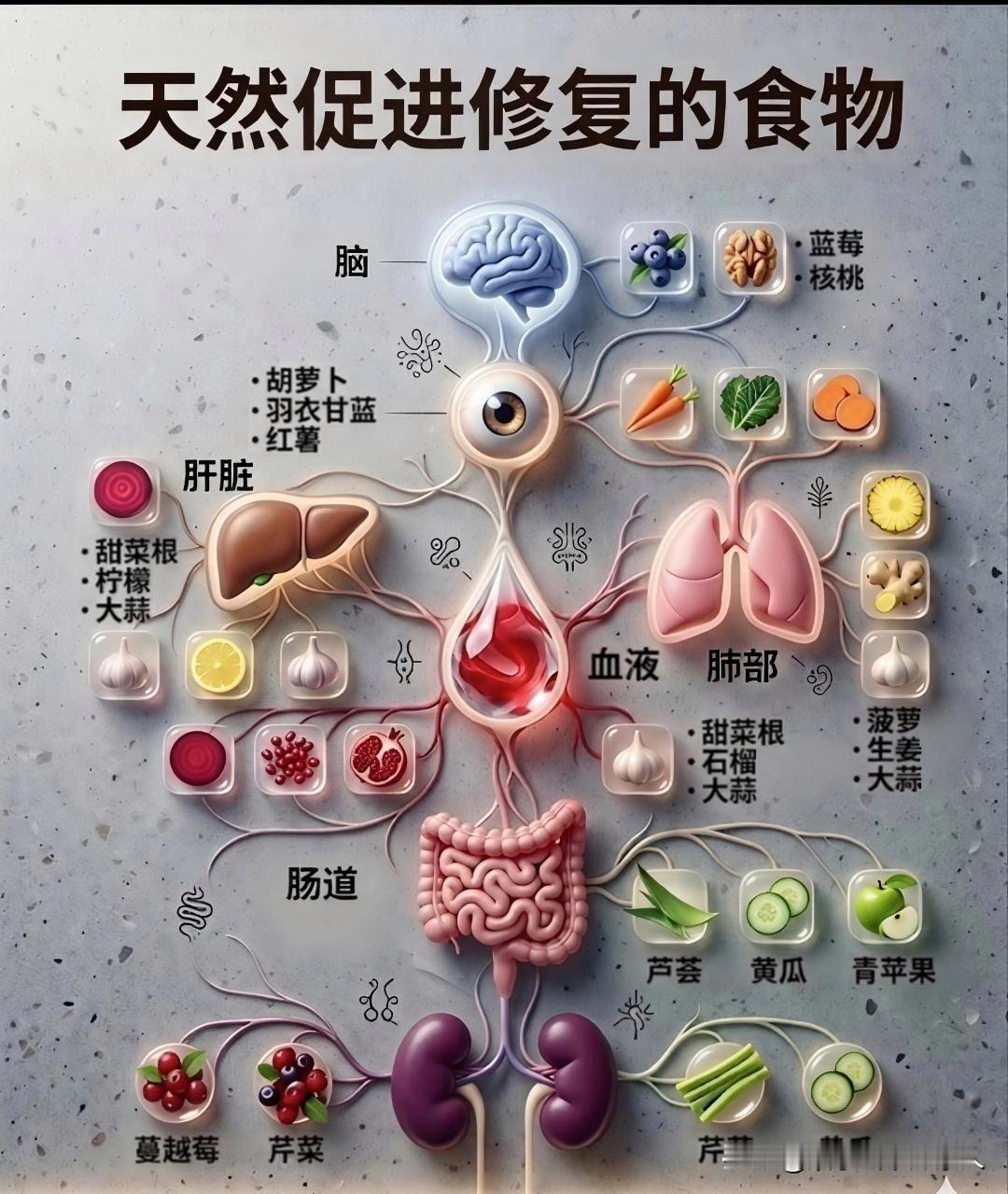 食物对应的养生部位，值得学习！