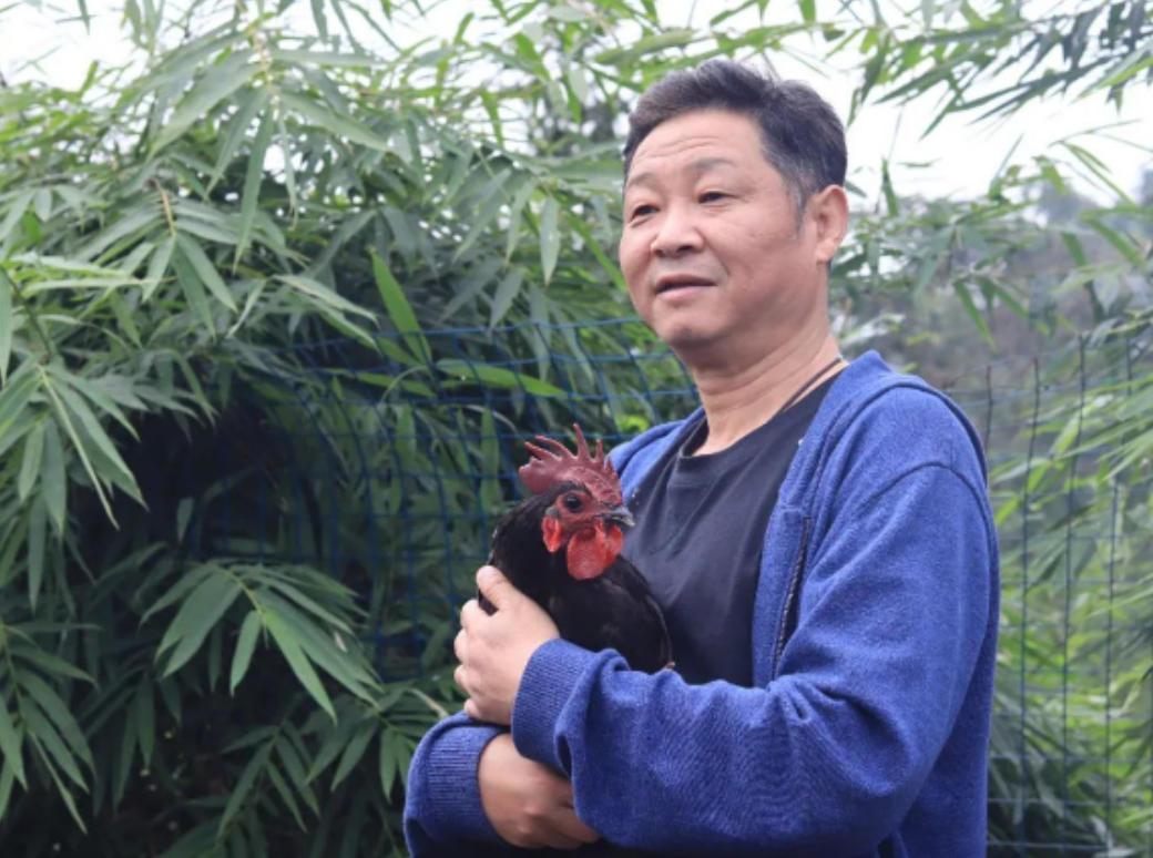 一次，主持人问赵亮:“你以前跟张国立演戏的，现在怎么去养鸡了？”赵亮说:“我一只