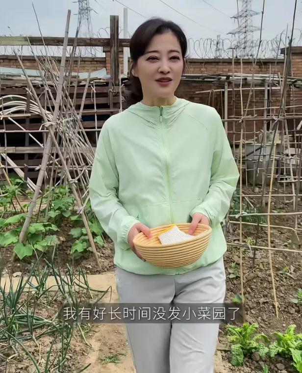 一些城里人都想在农村有个院子，种菜养鸡，过上田园生活。演员梅婷就是这样的生活，
