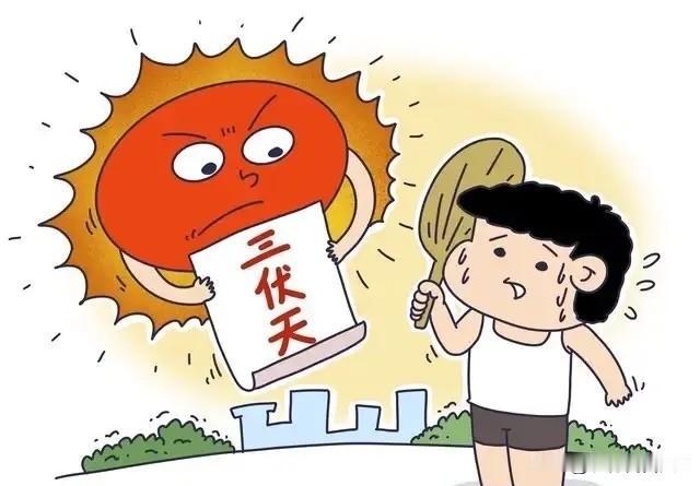 三伏吃十斤冬瓜，不如吃一次它，一降暑二祛湿，三健脾安神又养胃三伏天一来，人