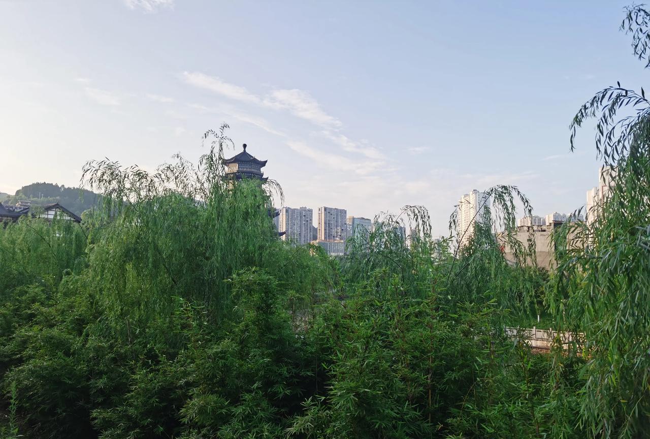 叫菜来家吃成常态老王出差回来，几位要好的朋友要给老王接个风，地点都选好了。突然