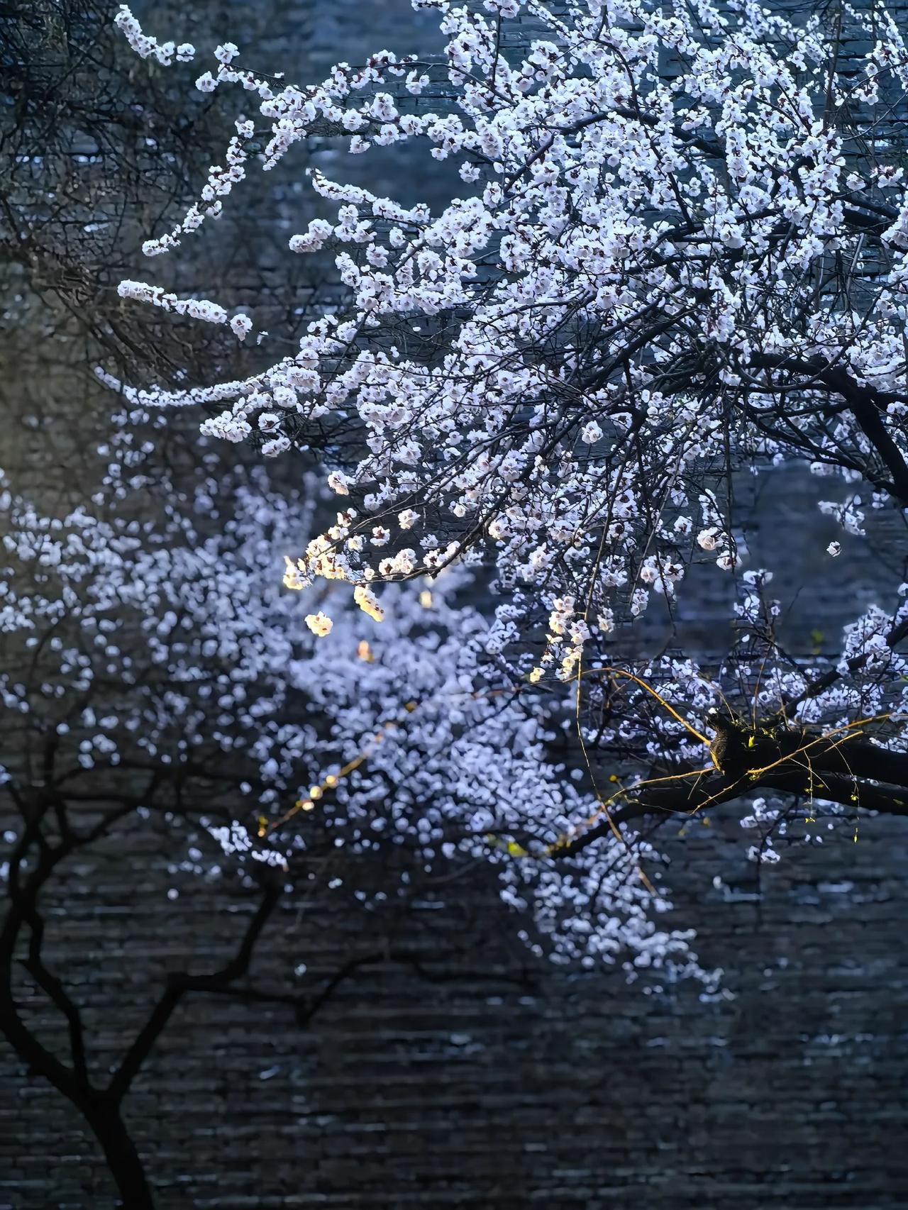 通常情况下，孩子的学习多由妈妈负责，爸爸参与较少。网络上常说爸爸带出来的孩子更优