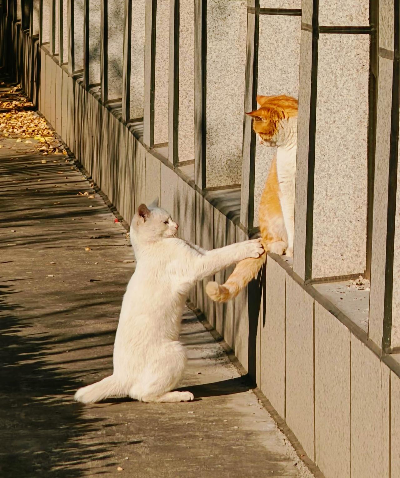 刘震云：）生活是过以后，不是过以前你跟一个人吃饭香，那么这个人旺你；​你在一