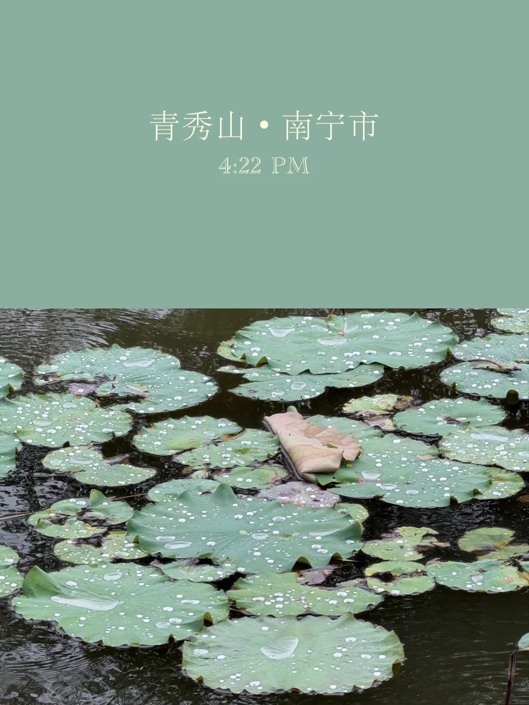 🪷用PhotoColors打开新的旅行记忆