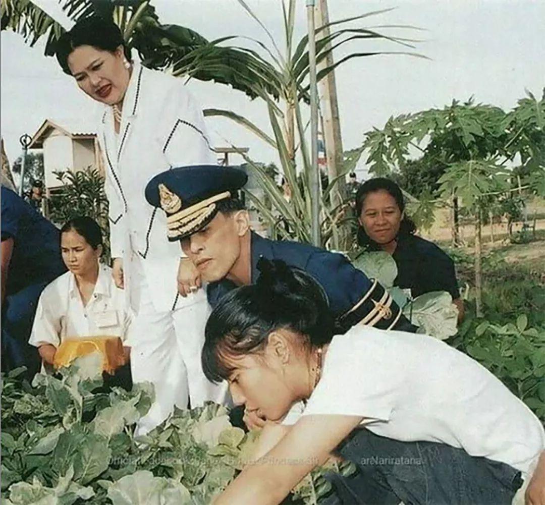 当年诗丽吉王后带着儿子孙女一起到田园间，小公主看菜很认真呀，画面绿色太美好。