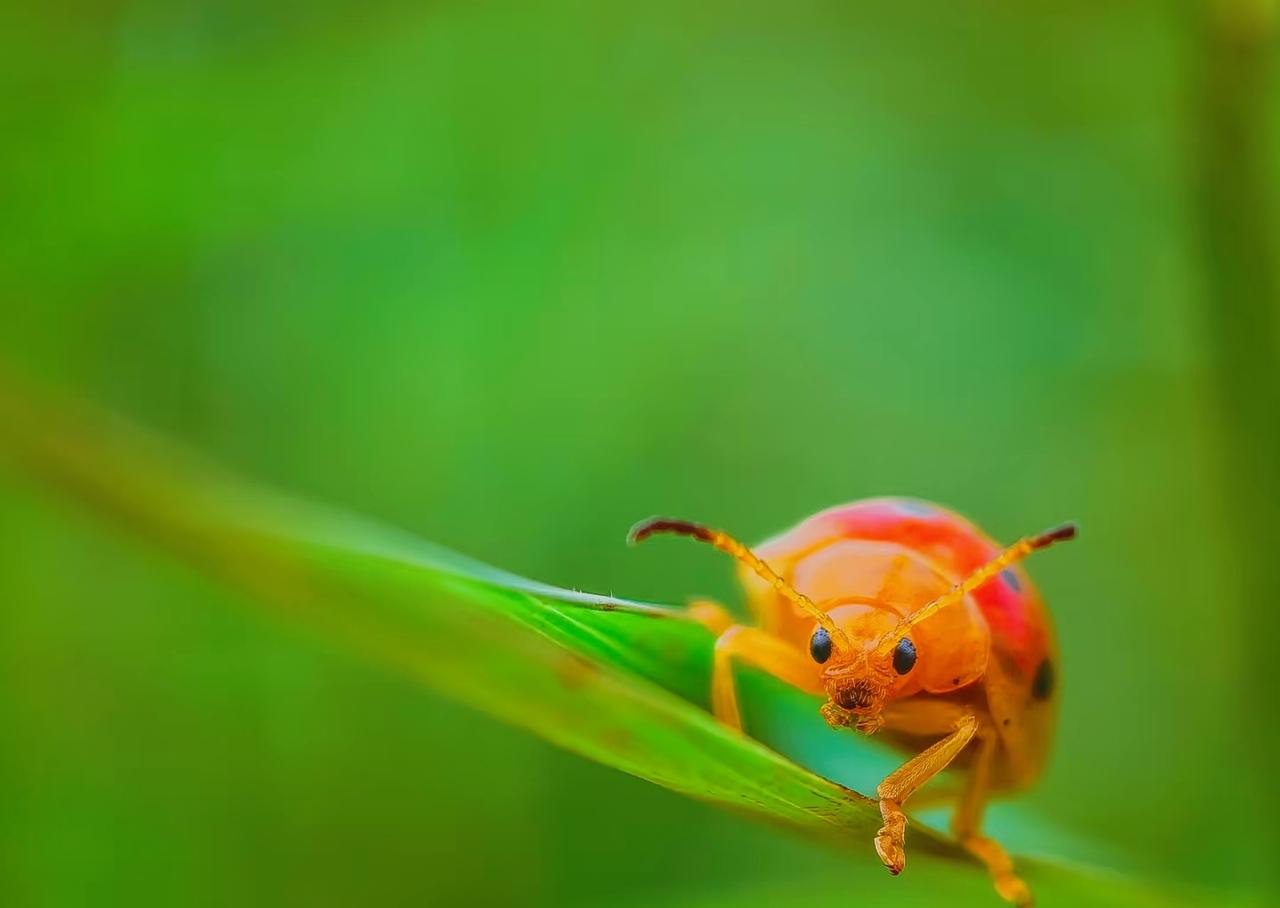 ：）一位80岁的大爷说：什么样的晚年会惨？人老了要懂得向子女让步，听子女安排