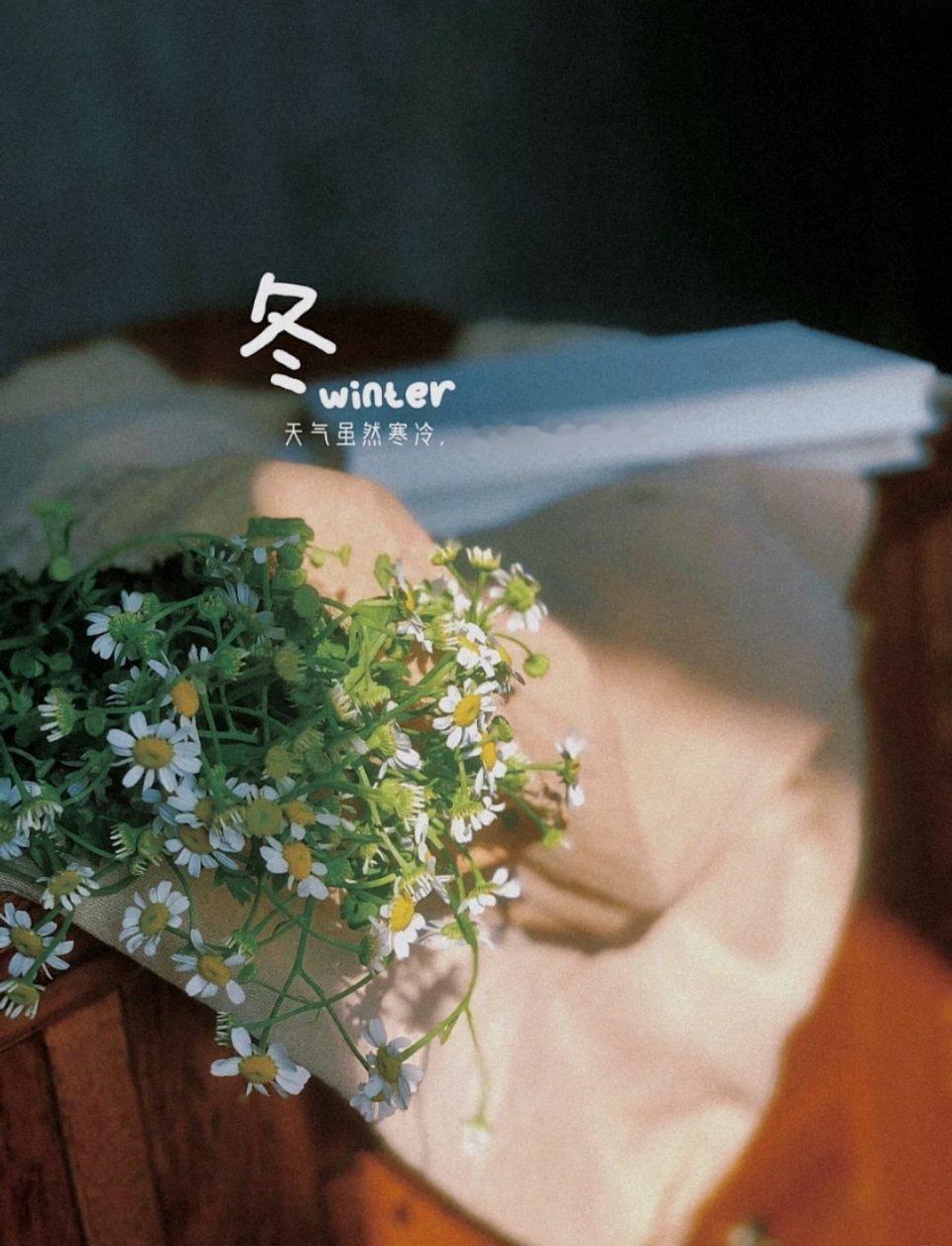 春来赏花，冬来雪落原来，我们一直被时光爱着好好生活，别想太多三餐烟火暖，四季皆安