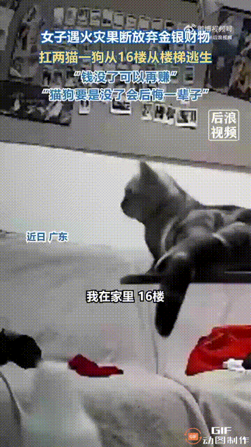 没跟错主人！广东一处小区突然着火，一名女子住在16楼，看见底下浓烟滚滚后，瞬间就