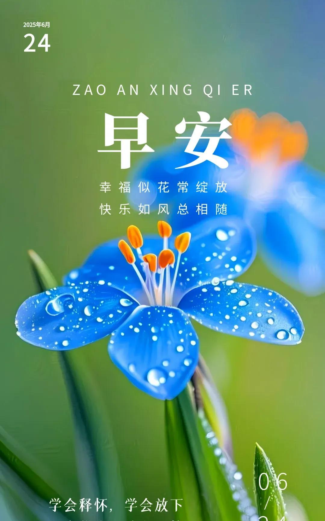 《晨曦新愿》新天初破晓，笑靥映朝阳。洒脱尘途里，心怀韵意长。平凡藏妙处，简