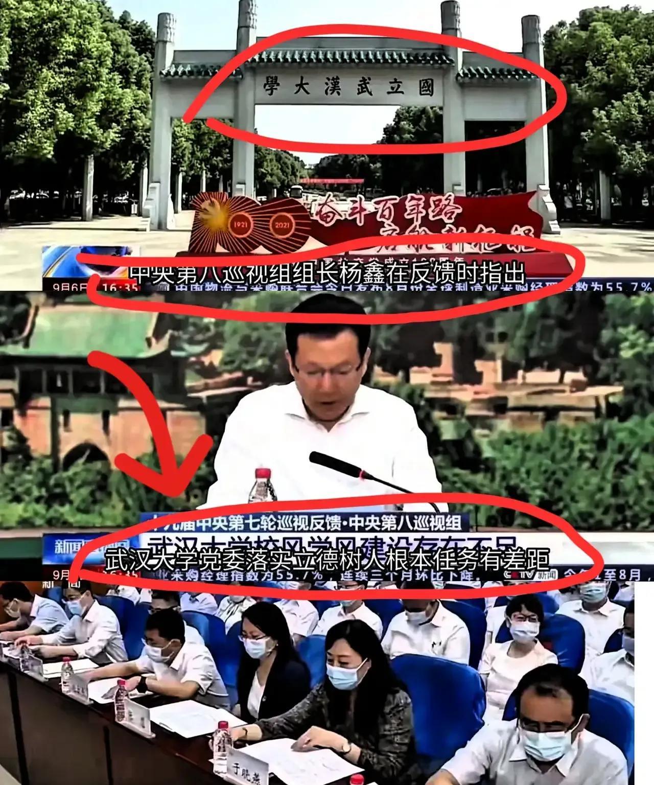 几年前，巡视组指出了武汉大学多个问题，其中武汉大学在落实立德树人根本任务有差距，