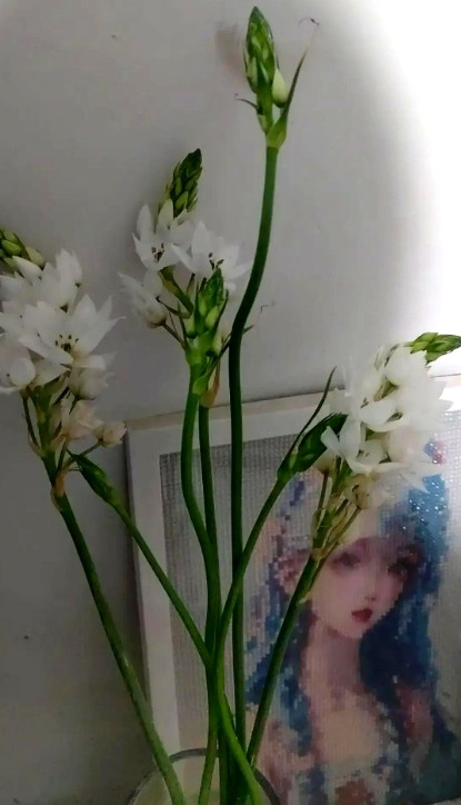 偷情操作的天花板，这对男女都是人才。听说隔壁临县一个男的在微信上约到同县一个