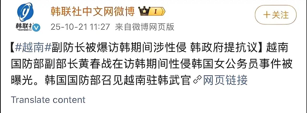 网友剧透剧情是这样的：韩国用女星色诱越南防长，防长得到后回国不办事，韩国告之…
