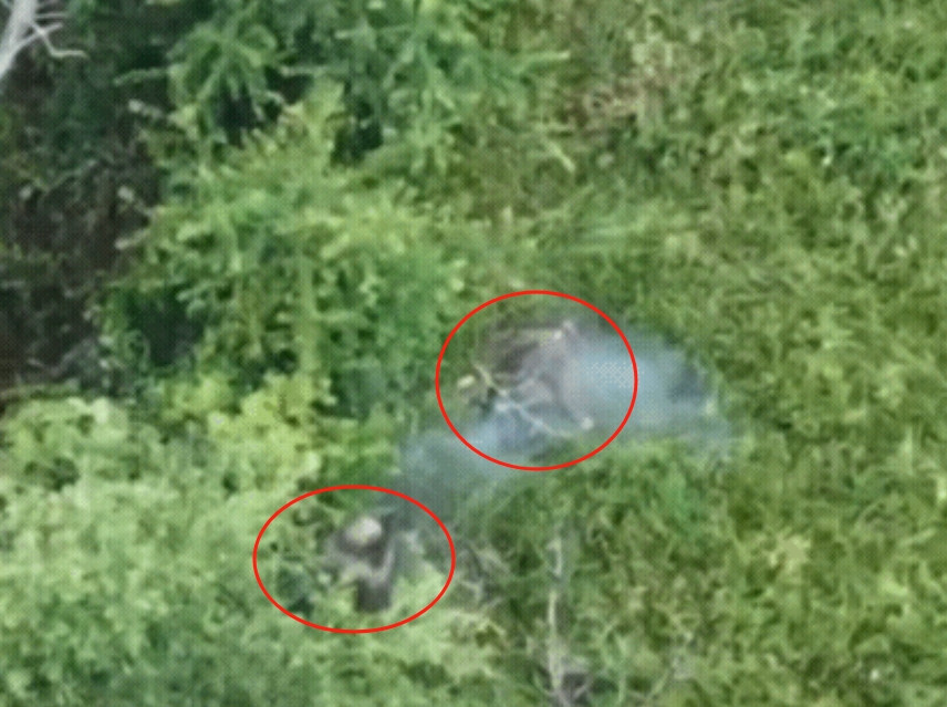 太无情了！俄军突击部队攻入乌军阵地后，把乌军阵地的人全部清除，一个不留啊！一名乌