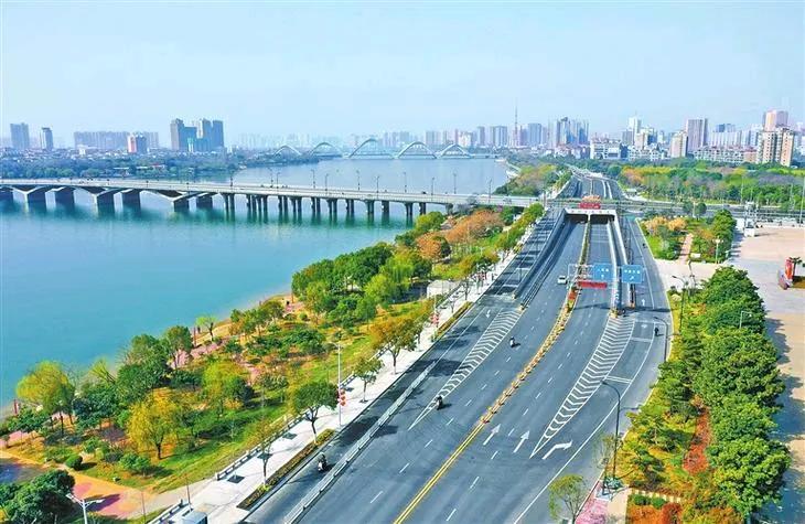 网友说:“不要成天沉浸在自我陶醉的世界里，与洛阳、宜昌、襄阳比，南阳城建差距太