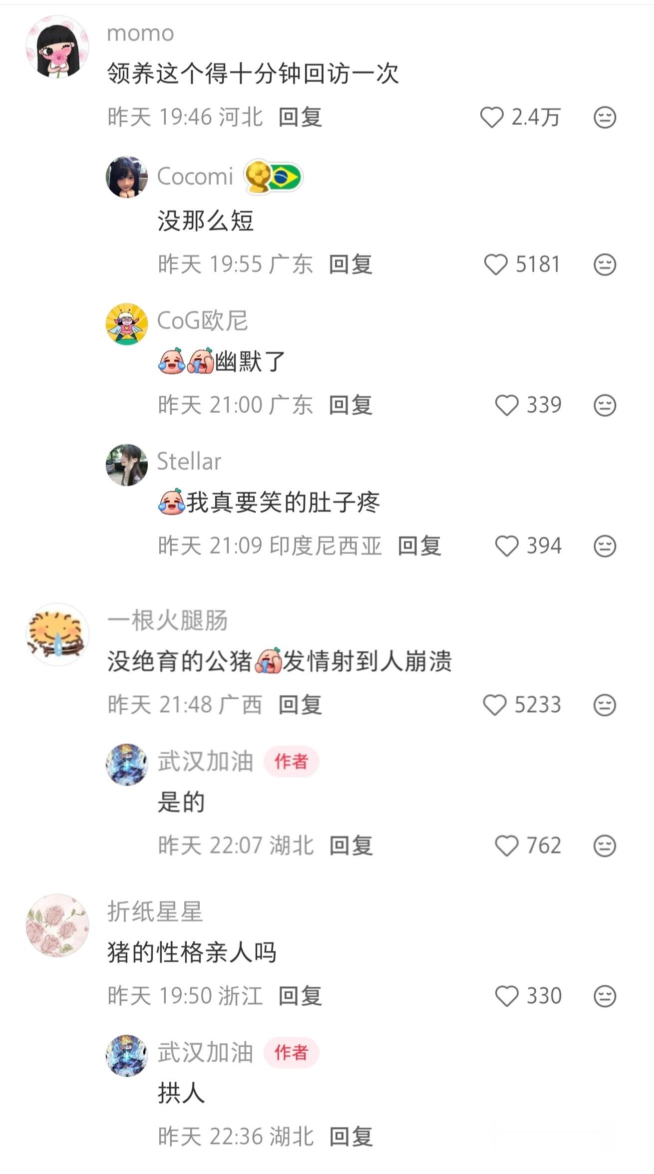 你是说200斤的小猪吗