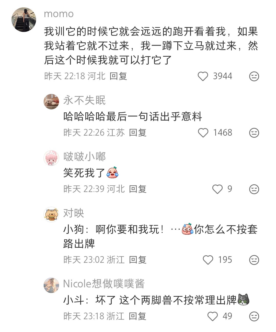 原来狗狗不搭理你的时候，蹲下来叫它，它就会搭理你了