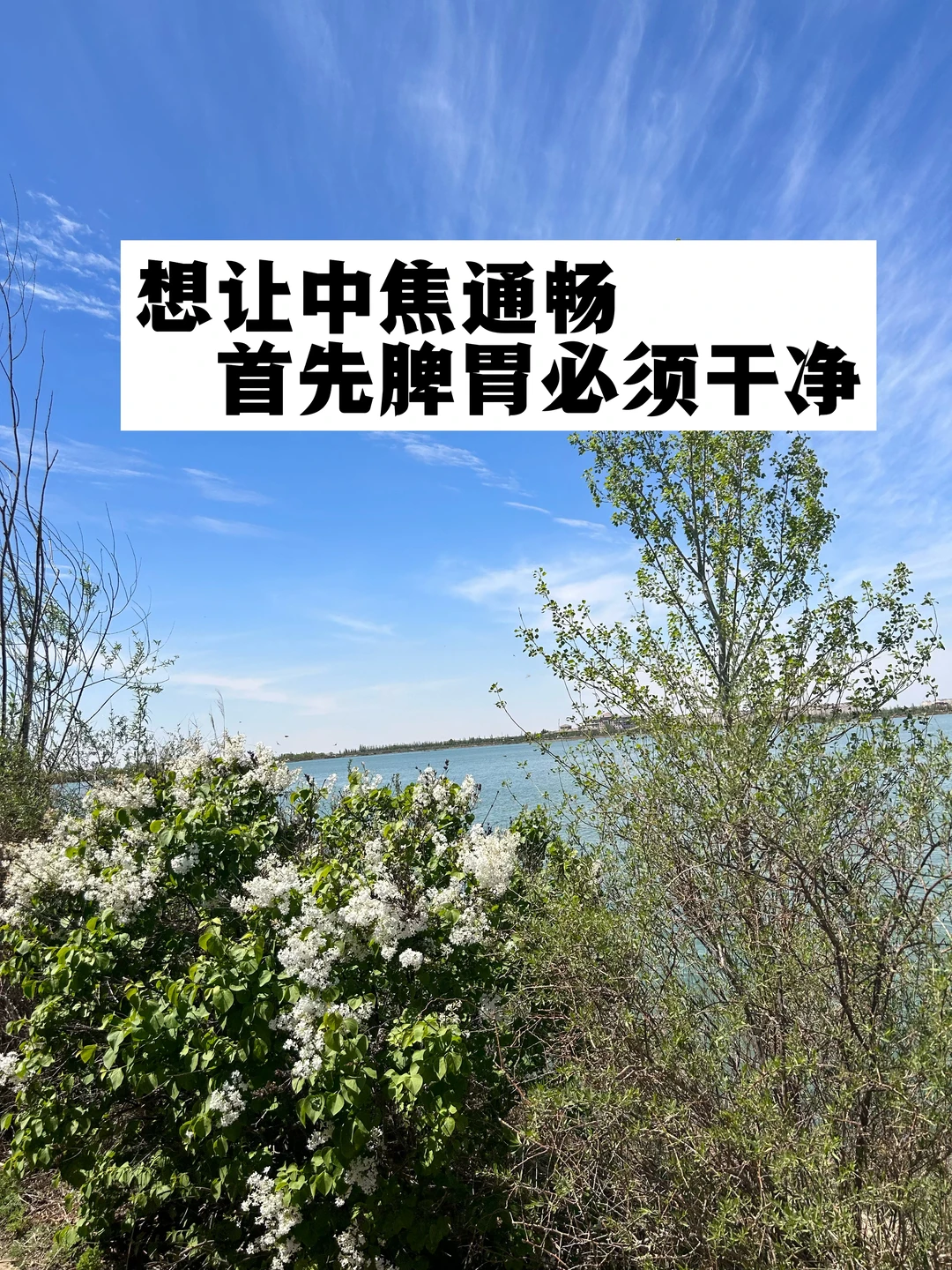 想要中焦通，首先脾胃要干净！