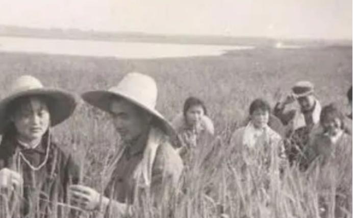 知青刘朝旭上大学前，那笔凑出来的“路费” 1973年，对刘朝旭来说，是命运转