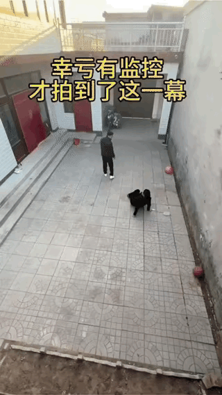 不懂就问，为什么要这样呢？我看不懂。