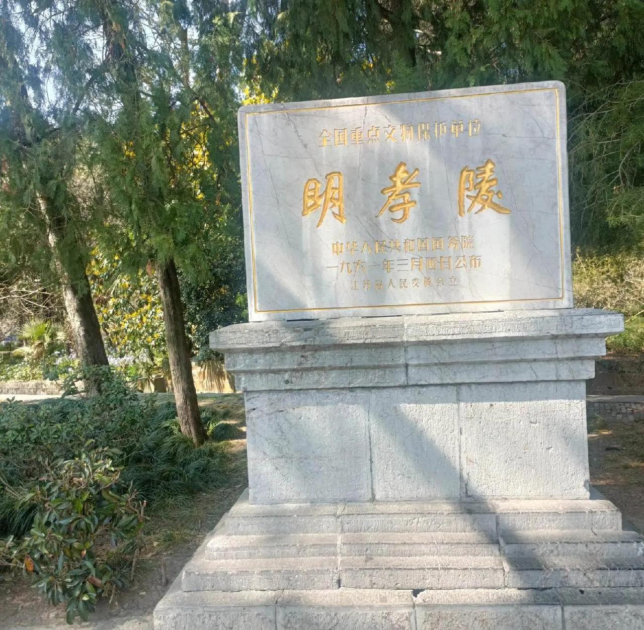 在明孝陵景区的进门处，我瞥见前头一个眼熟的身影。这人我再熟悉不过，是因工作往来结