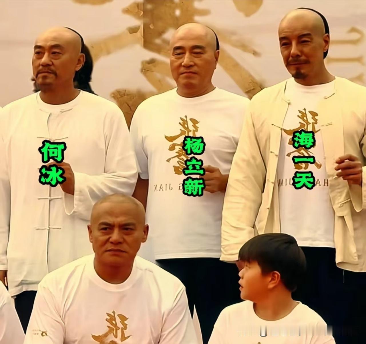 一张照片，全是演技！何冰、杨立新、海一天同框，这阵容看着就踏实。一排蹲着的二位
