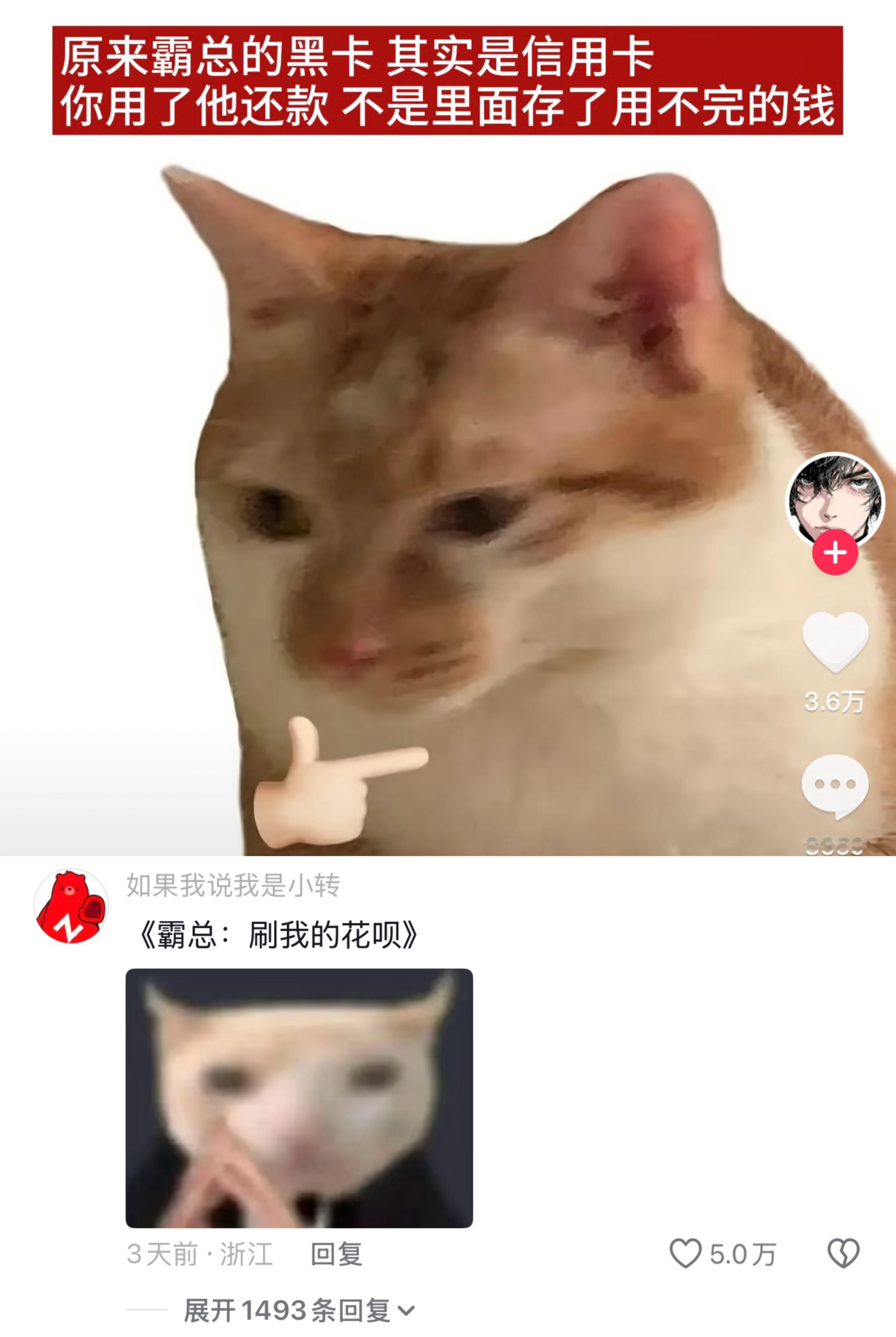 原来黑卡就是霸总版先用后付